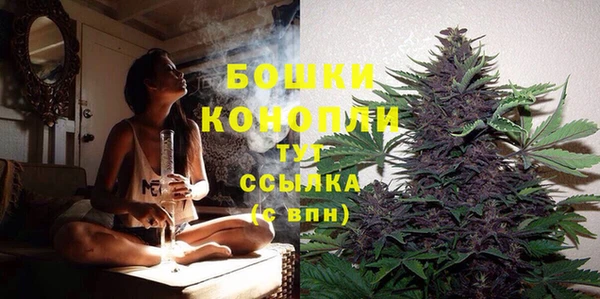прущий лед Инсар