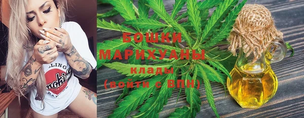 прущий лед Инсар
