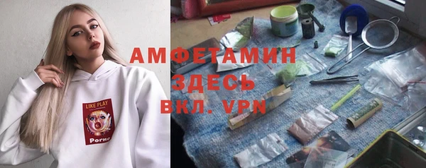 прущий лед Инсар