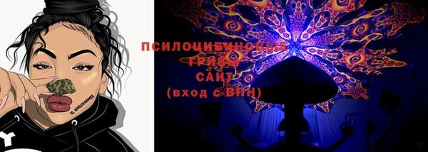 PSILOCYBIN Иннополис