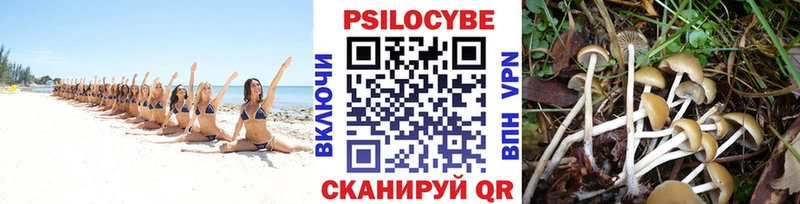 Псилоцибиновые грибы ЛСД  Купить где  Семикаракорск 